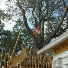 The ancient city in Anuradhapura