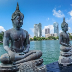 This tour usually covers the whole Colombo area