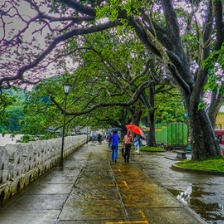 kandy is the traditional city in sri lanka
