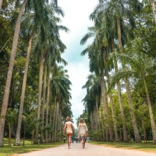 Visit Royal Botanical Gardens of Peradeniya