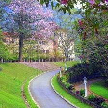 Visit beauty of Kandy