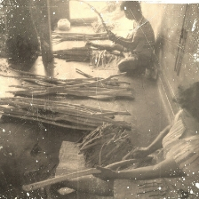 Cinnamon Export in Sri Lanka