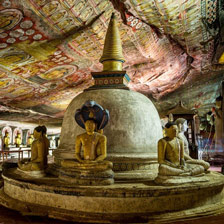 Visit dambulla cave temple