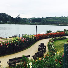 Nuwara eliya gregory lake