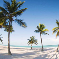 Negombo beach