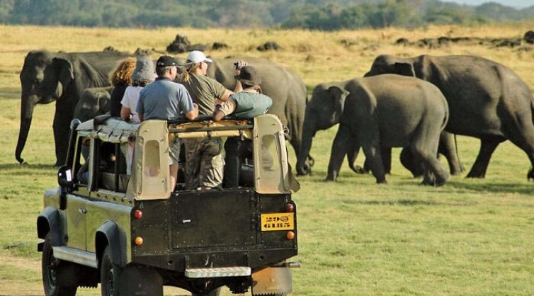 Yala National Park is very popular for its growing Leopard community